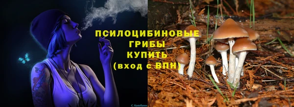 героин Бородино