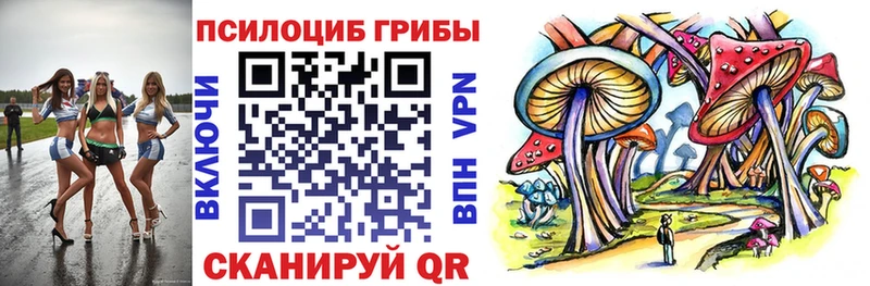 Купить где  Володарск  Псилоцибиновые грибы Psilocybe 